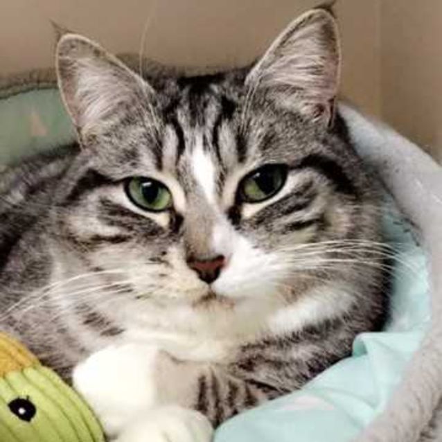 Photo of Tinkerbell