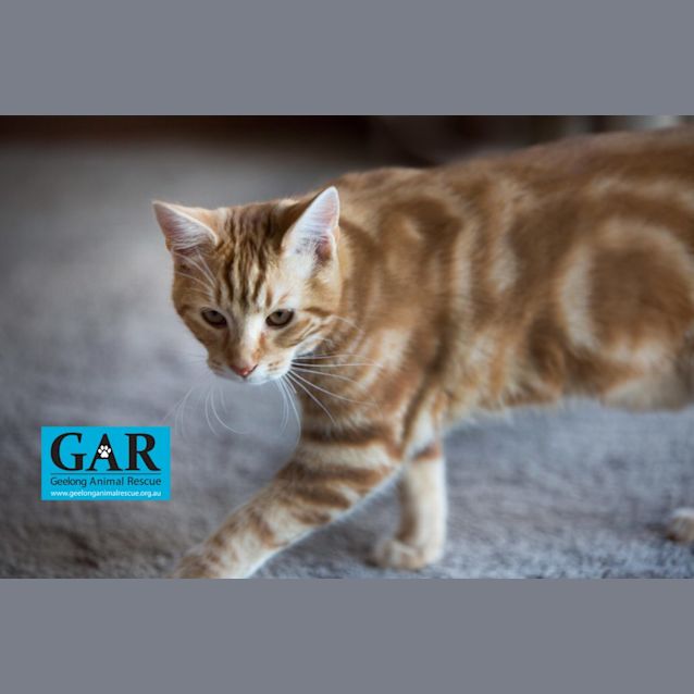 Photo of Mikey (Michael)