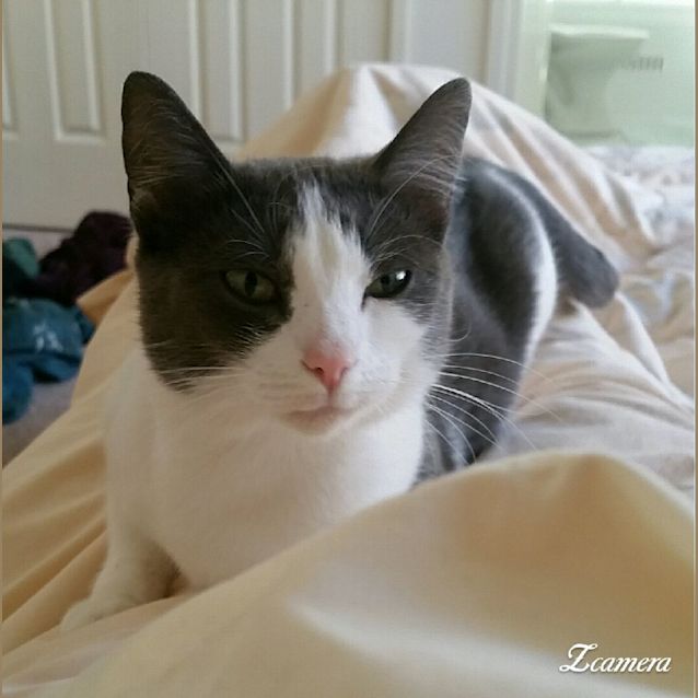 Photo of Wendy
