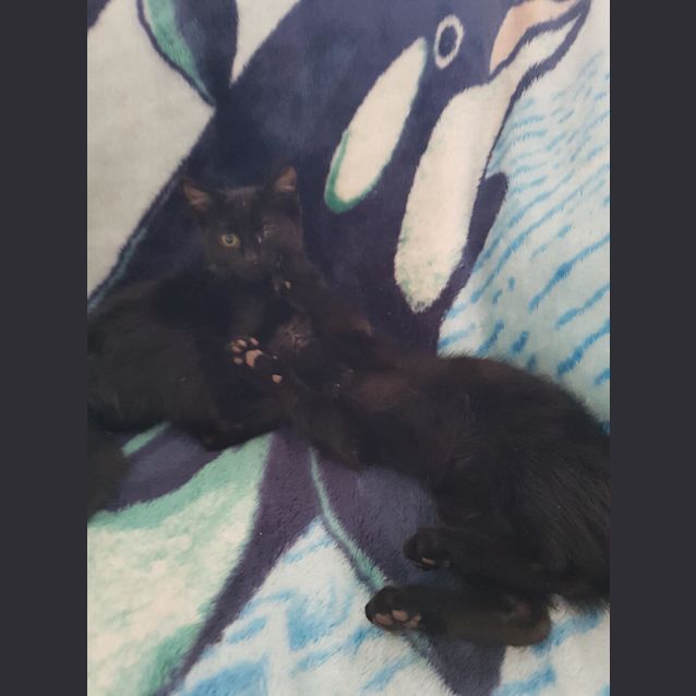 Photo of Esmerelda And Matilda