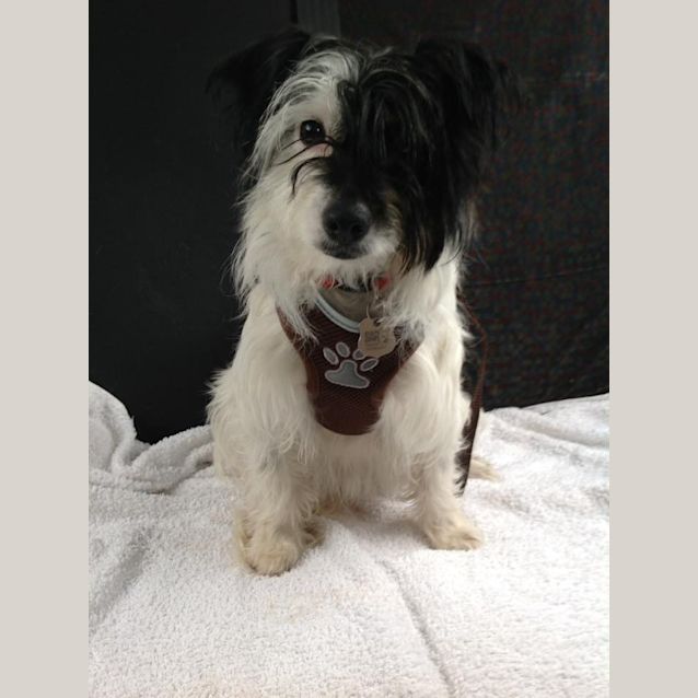 Photo of Milly