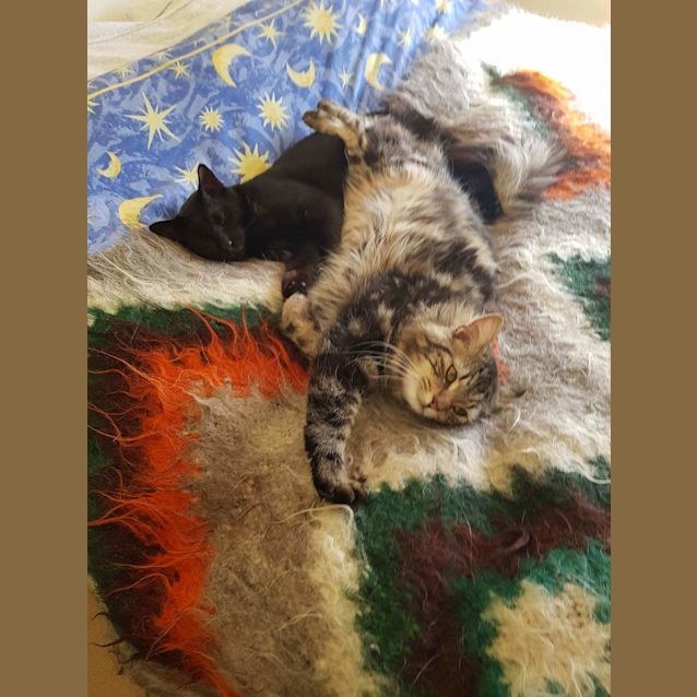 Photo of Cleo And Lucas