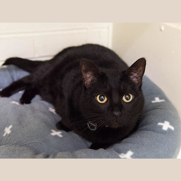 Photo of Easter (3324)