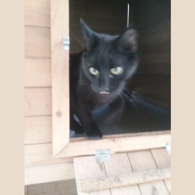 Photo of Elmo And Joe