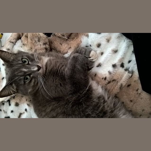 Photo of Charlotte