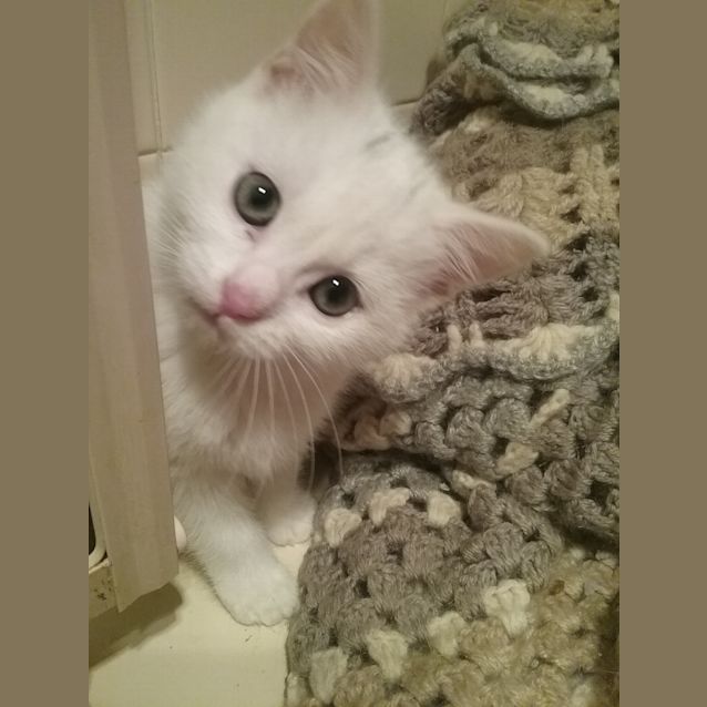 Photo of Hamish And Hannah