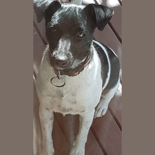 Photo of Matilda