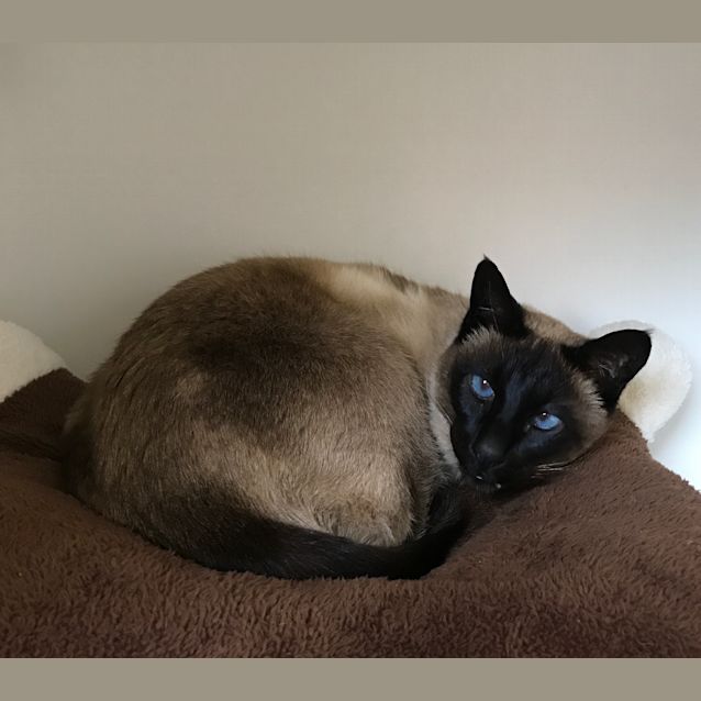 Photo of Kitty Sua001262