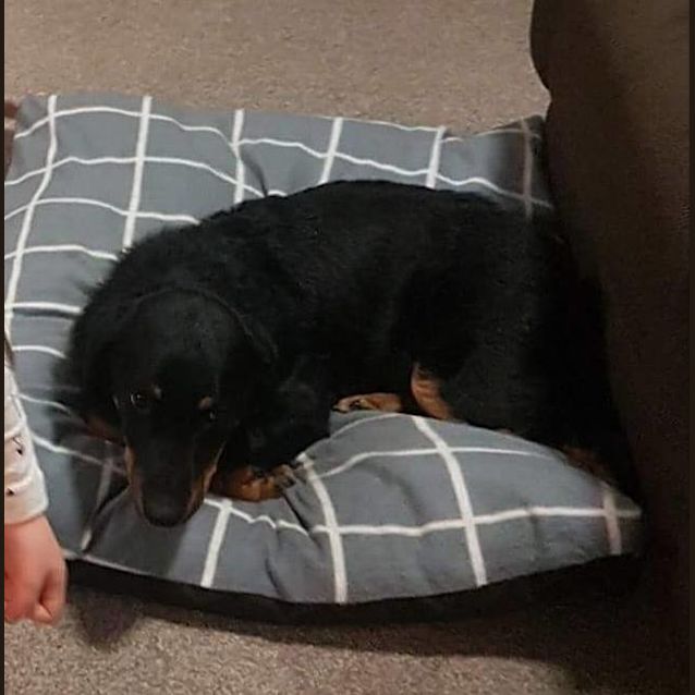 Photo of Copper