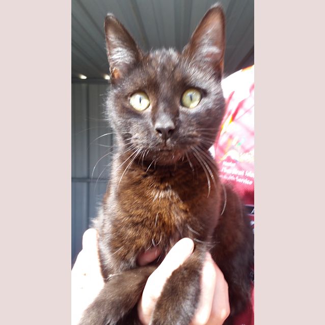 Photo of Jet