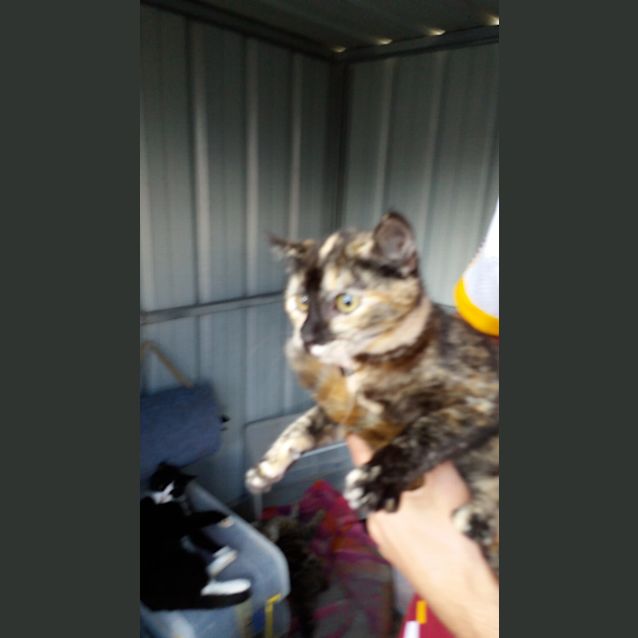 Photo of Sophie