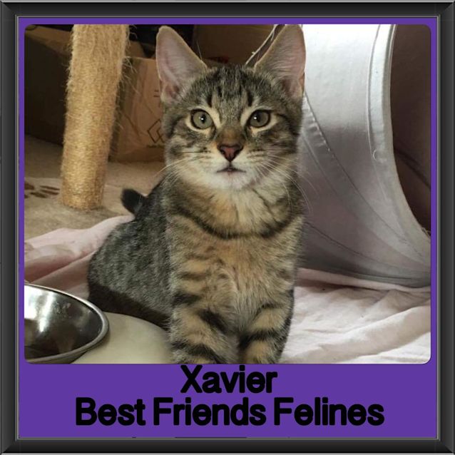 Photo of Xavier