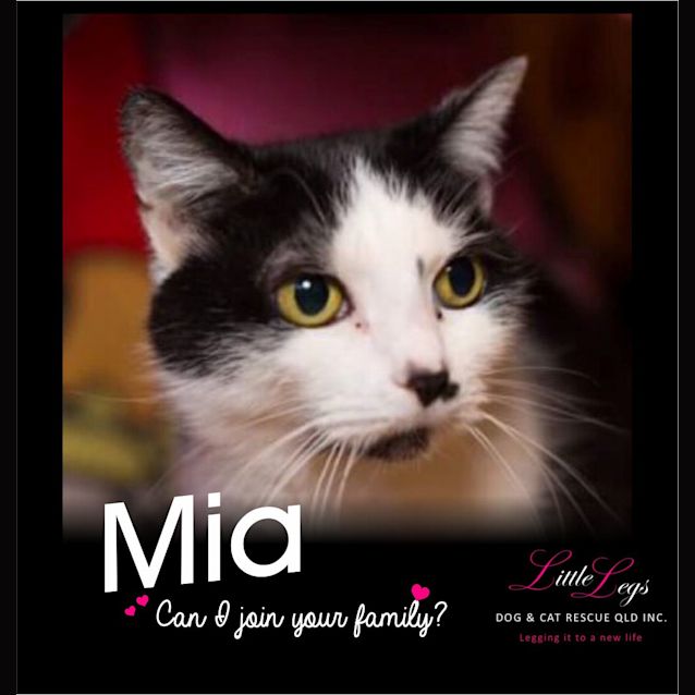 Photo of Mia
