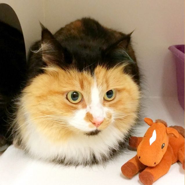 Photo of Esme