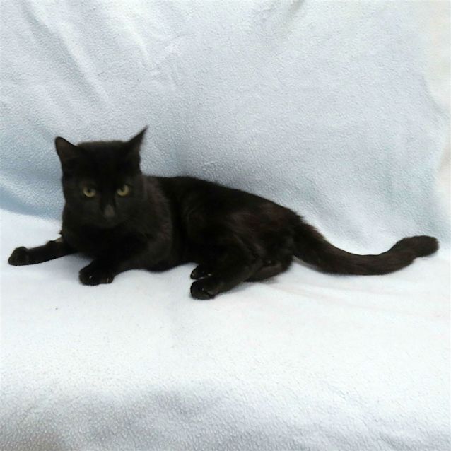 Photo of Jet
