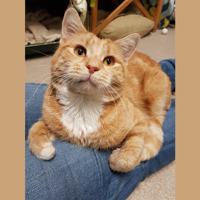 Photo of Monty