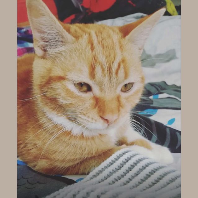 Photo of Ichigo 