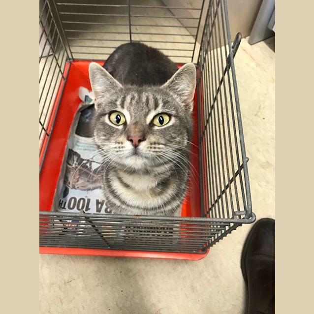 Photo of Marbles