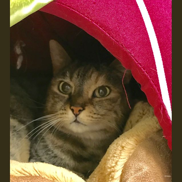 Photo of Juliet Sua001314