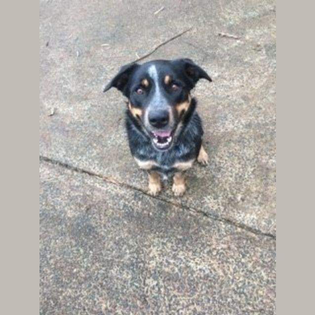 Photo of Ishka