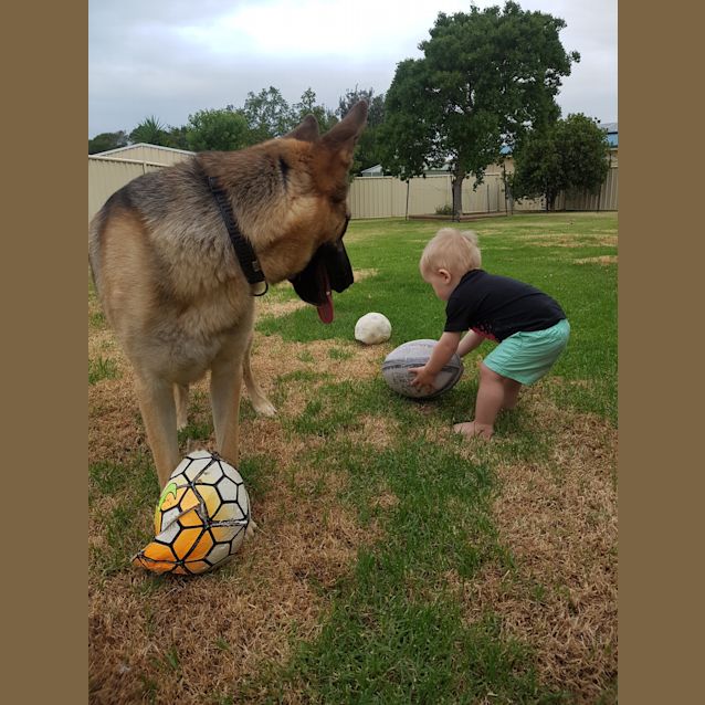 Photo of Gunner   On Hold Meet And Greet Organised