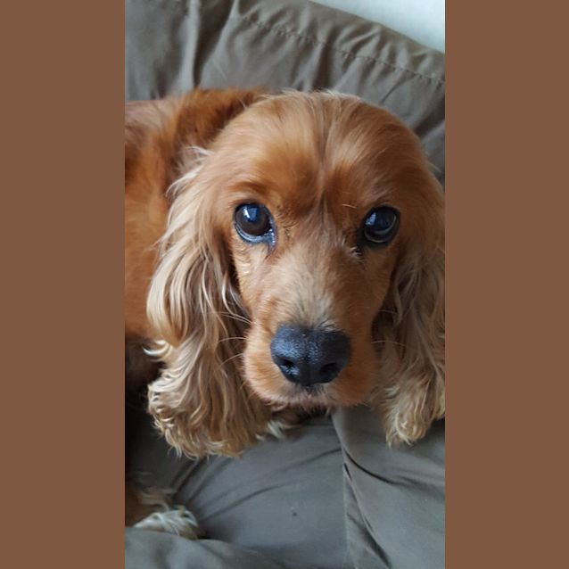 Photo of Mia
