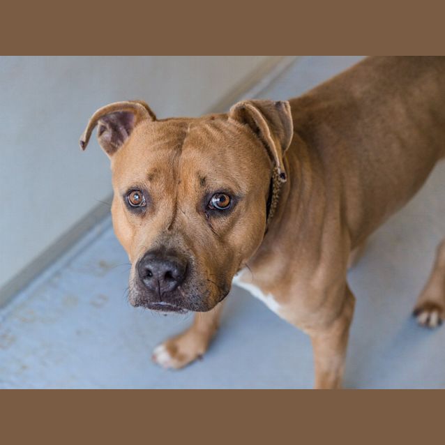 Photo of Vinnie (2773)