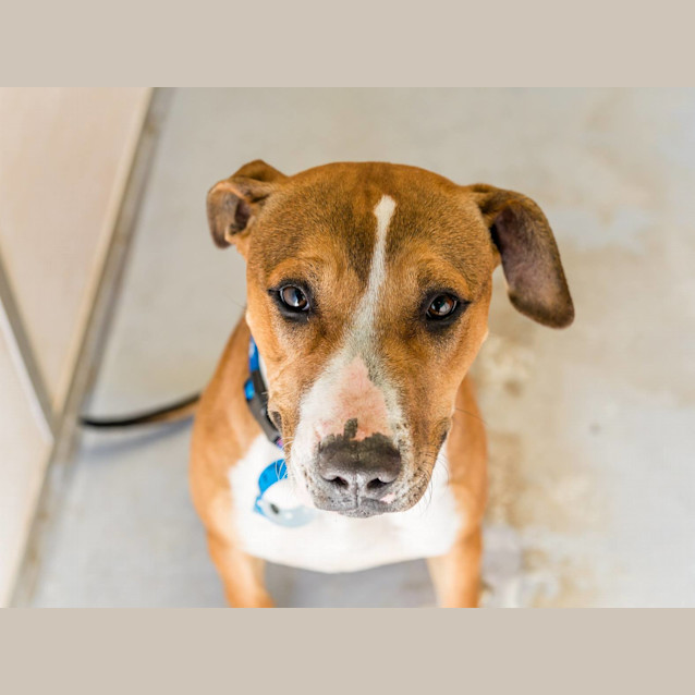 Photo of Jack (3217)