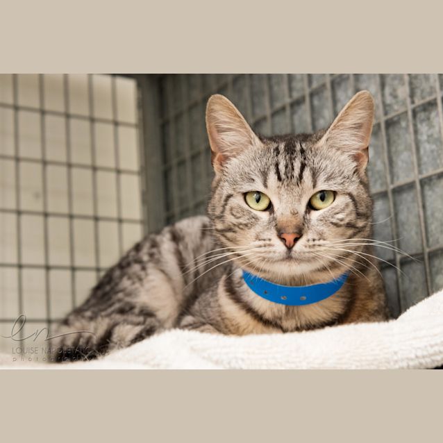 Photo of Rain (3239)