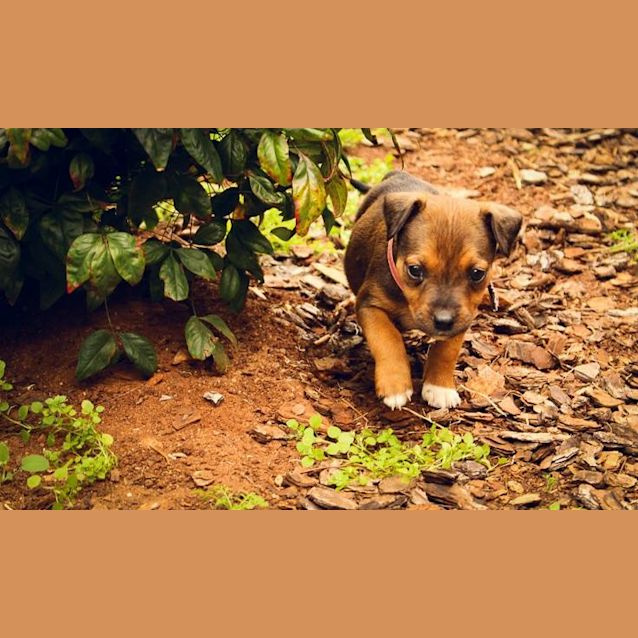 Photo of Arya