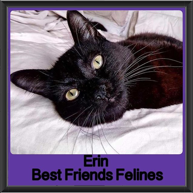 Photo of Erin