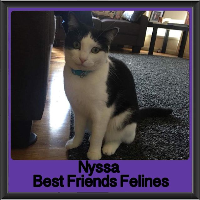 Photo of Nyssa