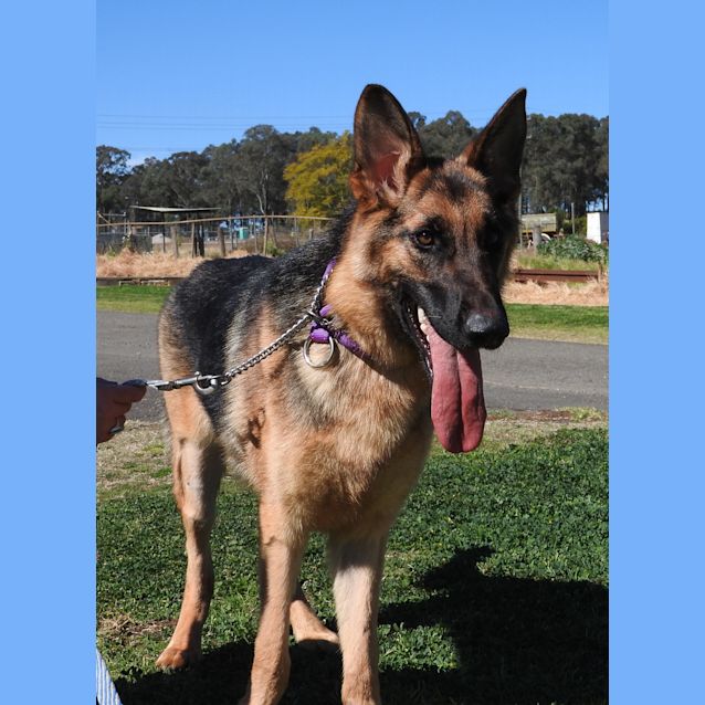 Photo of Calvin   On Hold   Meet And Greet Organised