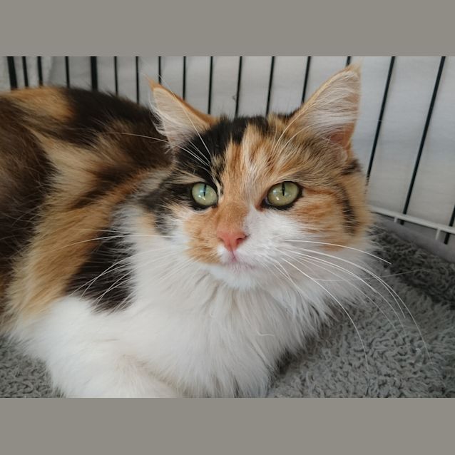 Photo of Rubi   Expectant Mumma