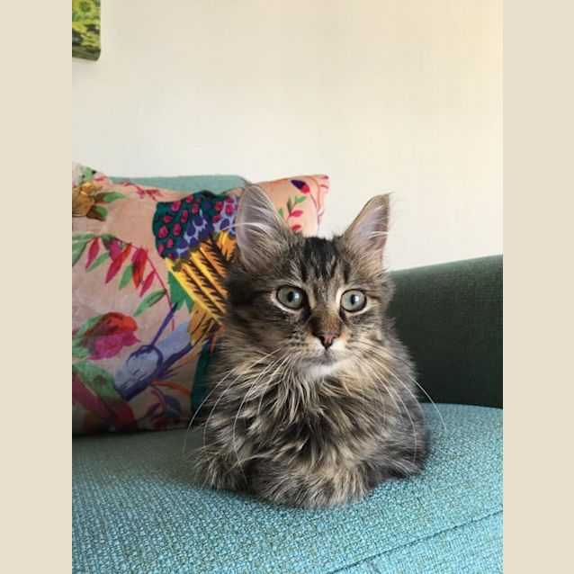Photo of Missy 