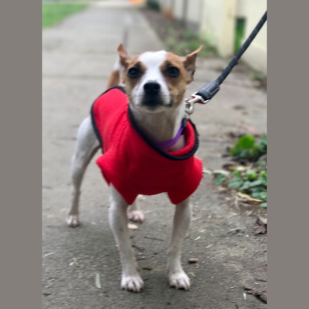 Photo of Bella 