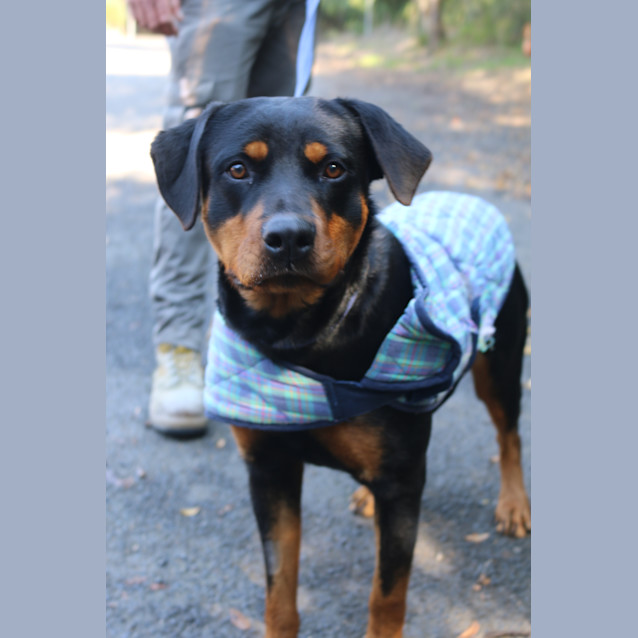 Photo of Athena