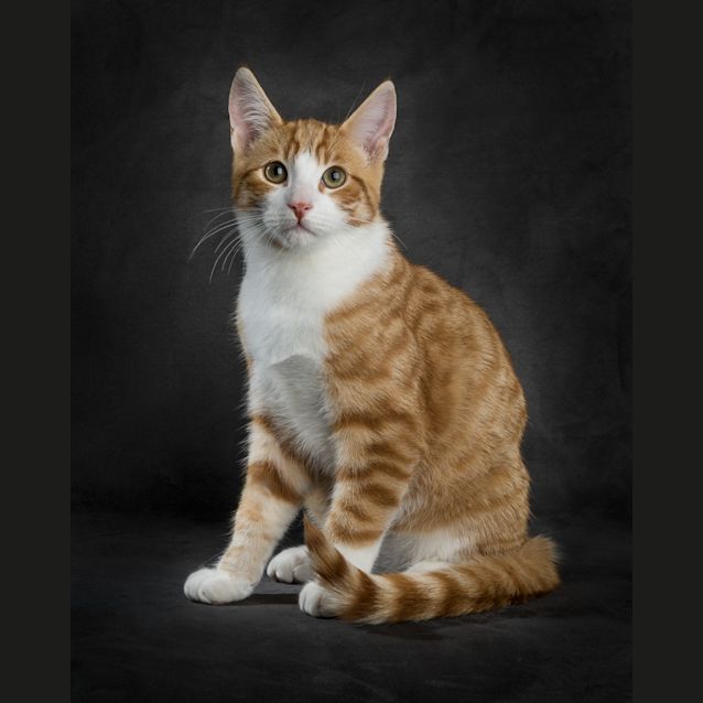 Photo of Buddy Ec0359