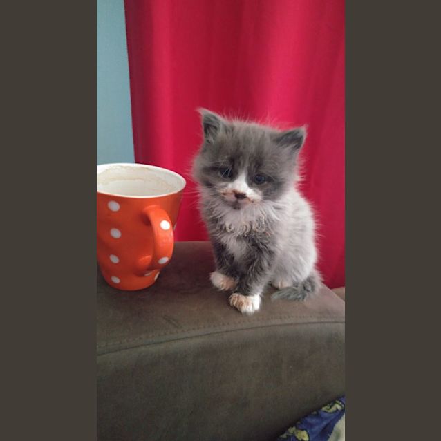 Photo of Storm