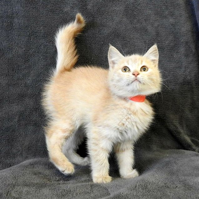 Photo of Tia
