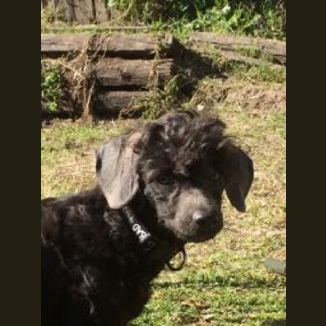 Photo of Oprah