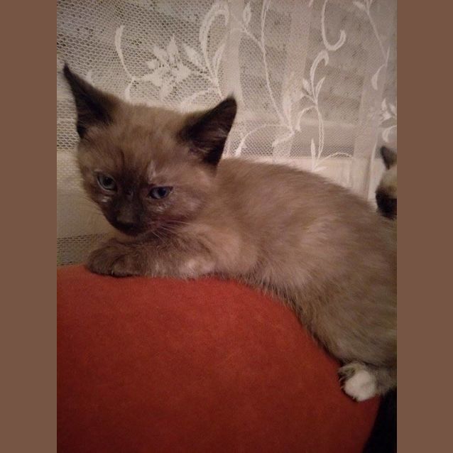 Photo of Ella