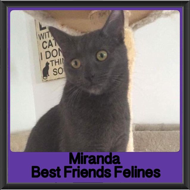 Photo of Miranda