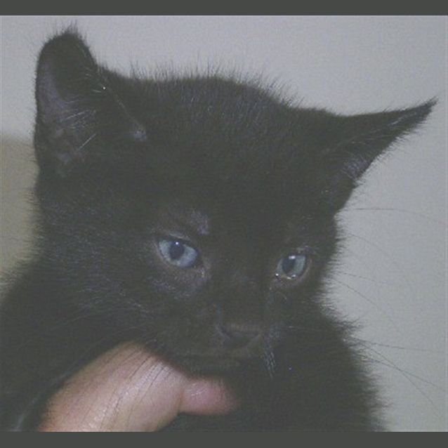 Photo of Charlie