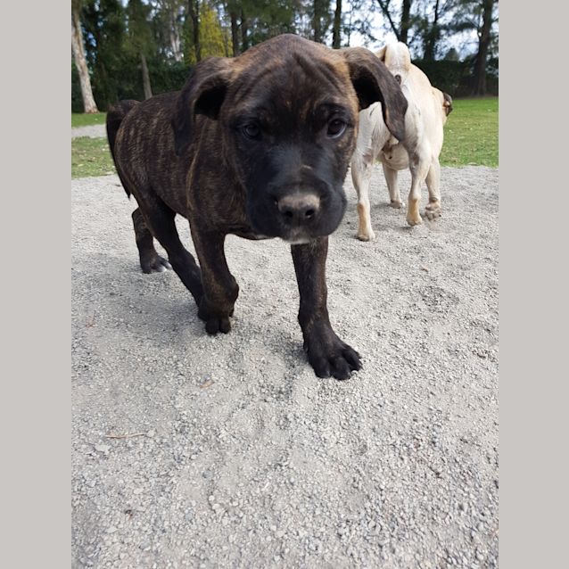 Photo of Bilbo 