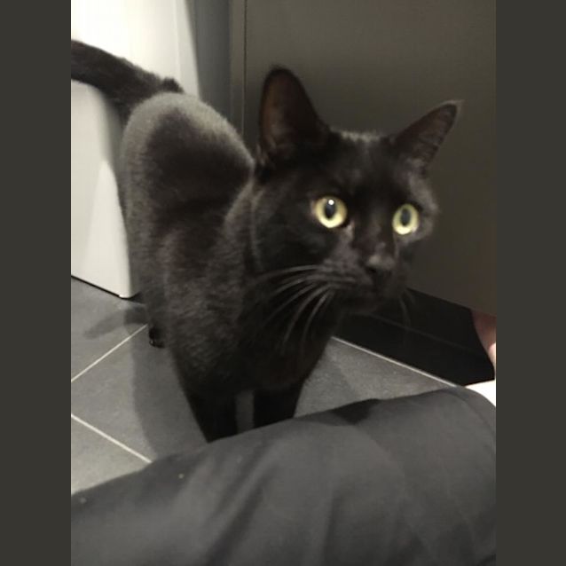 Photo of Narla