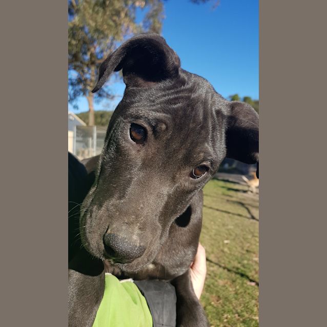 Photo of Arwen