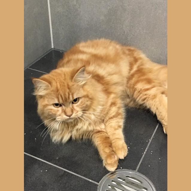 Photo of Leo