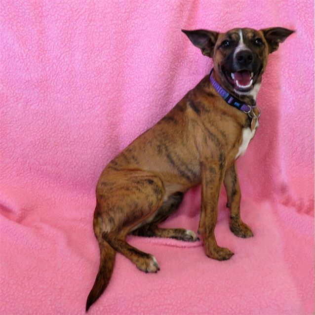 Photo of Brinnie