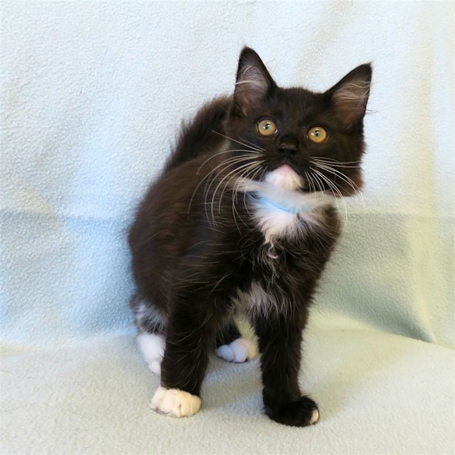 Photo of Gatsby
